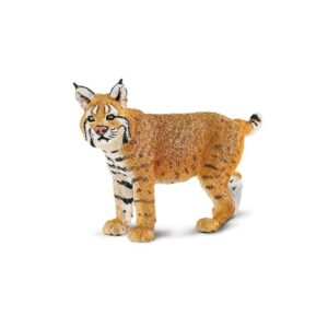 Lince