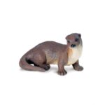 Nutria