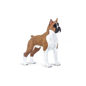 Perro boxer