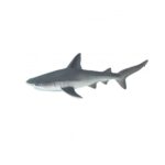 Tiburón gris de arrecife