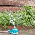 imagen de la Ballena aspersor de agua para juegos de exterior con manguera y agua