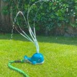 imagen de exterior de la Ballena aspersor de agua para juegos de exterior