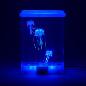 Tanque de medusas con luz ultravioleta. Pecera, acuario