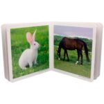 Libro de cartoné con imágenes de animales de la granja nowordbooks fotografías
