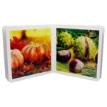 Libro de cartoné con imágenes reales de otoño nowordbooks fotografías