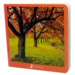 Libro de cartón con imágenes reales de otoño nowordbooks fotografías