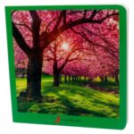 Libro de cartoné con imágenes reales de primavera nowordbooks fotografías