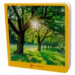 Libro de cartón con imágenes reales de verano nowordbooks fotografías
