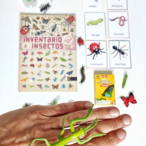 insectos-1