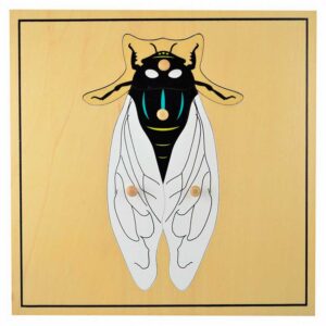 Puzzle montessori mosca