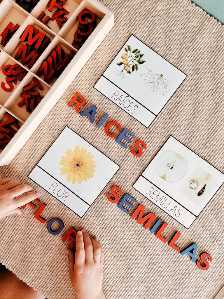 Aplaudir Hormiga infinito Cómo enseñaría María Montessori a leer y a escribir a tu peque (con  imprimibles) | Alupé