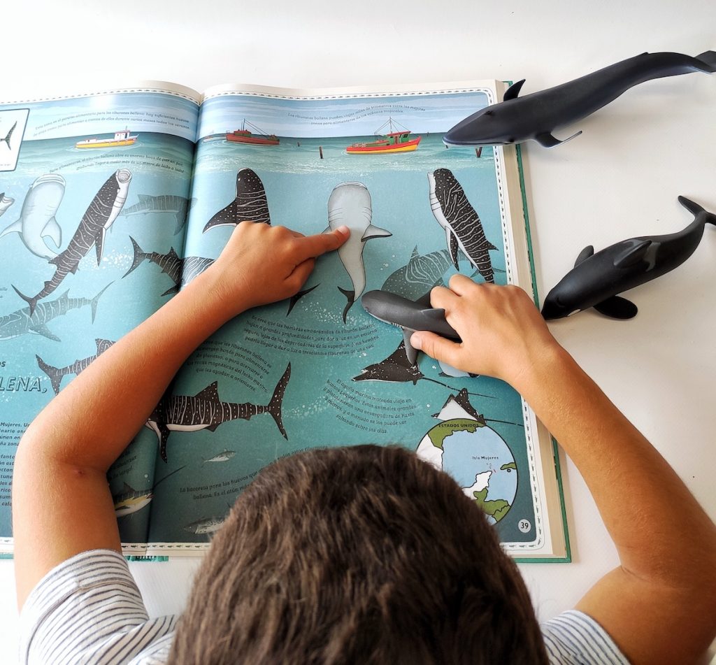 oceanos-animales, libro