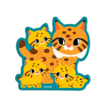 5 puzzles evolutivos de animales de 2, 3, 4, 5 y 6 piezas