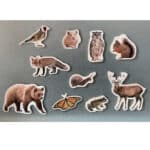 imanes de bambú con imágenes reales de animales del bosque