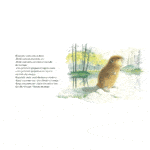 libro El pequeño castor
