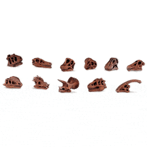 tubo con 11 miniaturas de cráneos de diferentes dinosaurios