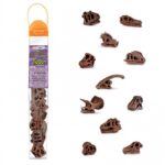 tubo con 11 miniaturas de cráneos de diferentes dinosaurios