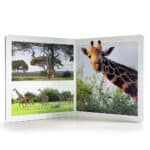 libro de fotografías de imágenes reales de los animales de la sabana