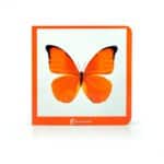 libro de fotografías de imágenes reales del elementos de color naranja
