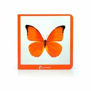libro de fotografías de imágenes reales del elementos de color naranja