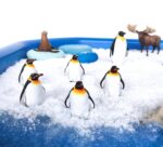 Pinguinos en una bandeja de invierno con nieve instantánea