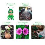 6 bombas de semillas presentadas en una mini huevera reciclable