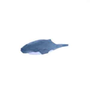 ballena jorobada tallado y pintado a mano de madera Wudimals