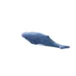 ballena jorobada tallado y pintado a mano de madera Wudimals