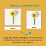 IMPRIMIBLE tarjetas de vocabulario Montessori - Imagen 6