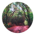portada de Vinilo para mini mundos temática bosque