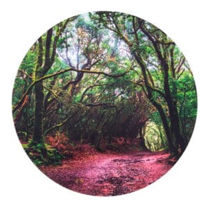 portada de Vinilo para mini mundos temática bosque