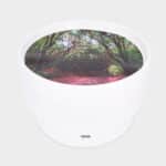 Vinilo para mini mundos temática bosque sobre mesa de luz
