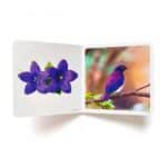 imagen del libro abierto en páginas centrales del Libro de fotografías violeta