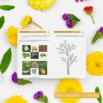 Imprimible Arte con la naturaleza