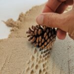 Arena kinética y piña de la Caja de actividades sensoriales de otoño. Se ve una piña pasando por encima y dejando su textura sobre la arena mágica