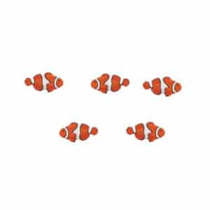 Pez payaso, pack de 10 figuritas para minimundos y botellas sensoriales