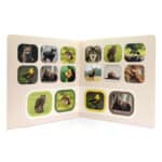 Libro de fotografías reales Busca y encuentra animales del bosque abierto