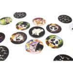 Tarjetas circulares de Sherlock Express, juego de deducción