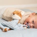 Bebé con un chupete enganchado al Doudou zorro de peluche y texturas Forest Friends de Little Dutch