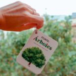 imagen de una mujer con Fíjate Árboles Guía para iniciarse en la observación de la naturaleza