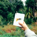 imagen de una niña con Fíjate Insectos Guía para iniciarse en la observación de la naturaleza