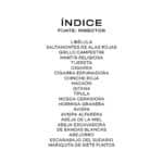 imagen del índice de Fíjate Insectos Guía para iniciarse en la observación de la naturaleza