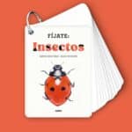 imagen de portada de Fíjate Insectos Guía para iniciarse en la observación de la naturaleza
