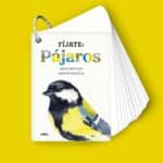 imagen de portada de Fíjate Pájaros Guía para iniciarse en la observación de la naturaleza