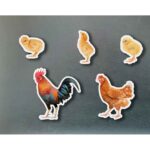 Imagen de portada de Imanes de bambú Familia de gallinas