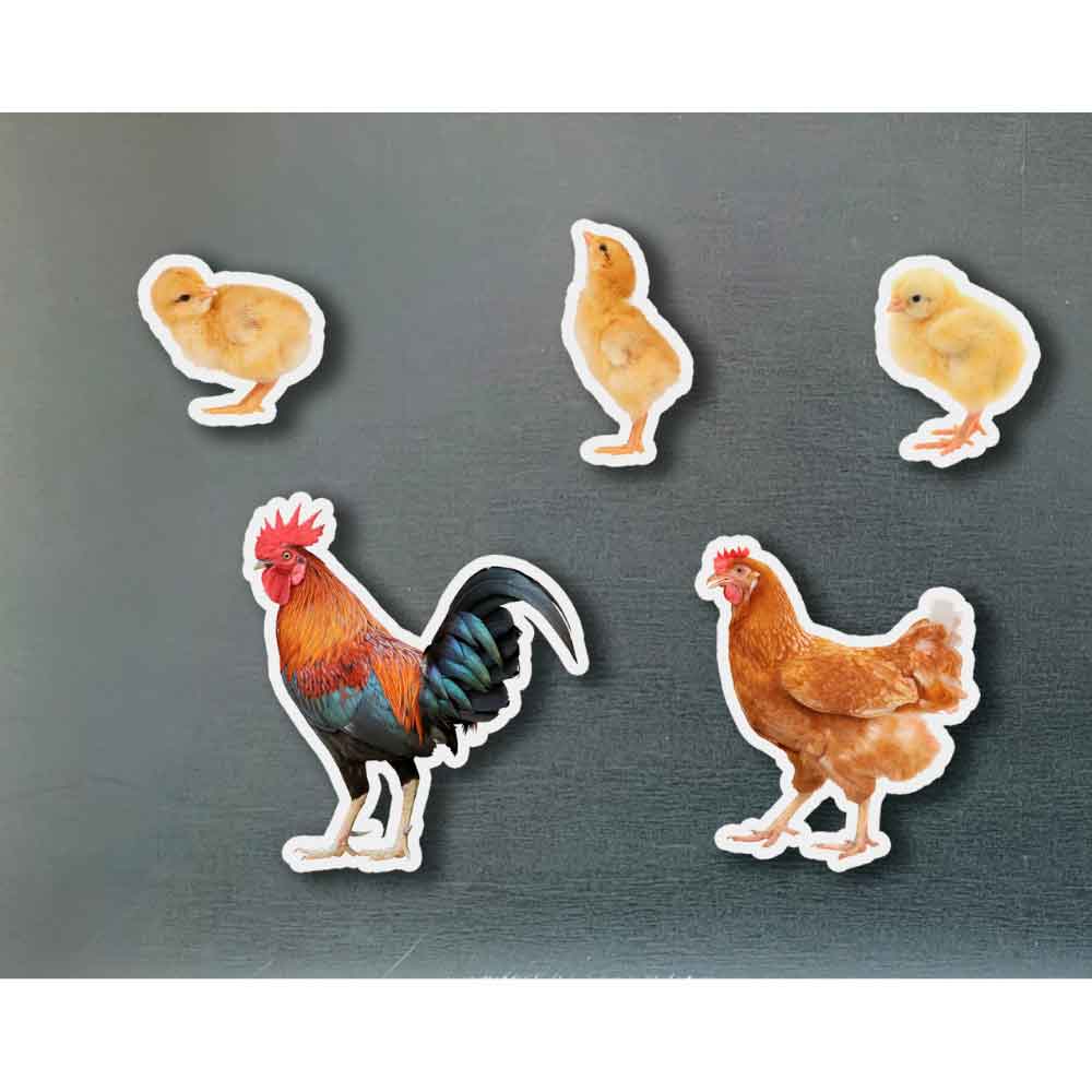 Imanes de bambú Familia de gallinas 1 Imagen de portada de Imanes de bambú Familia de gallinas