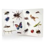 Imagen interior de Libro grande de fotografías, Animales de Nowordbooks