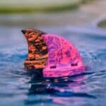 imagen en el mar de la Aleta tiburón de flotación rosa Swimfin