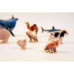 Imagen de animales