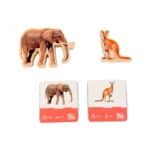 Imagen de los animales y tarjetas